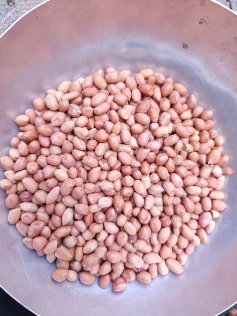 Java Peanut Exporter from India - Somnath Agri Impex