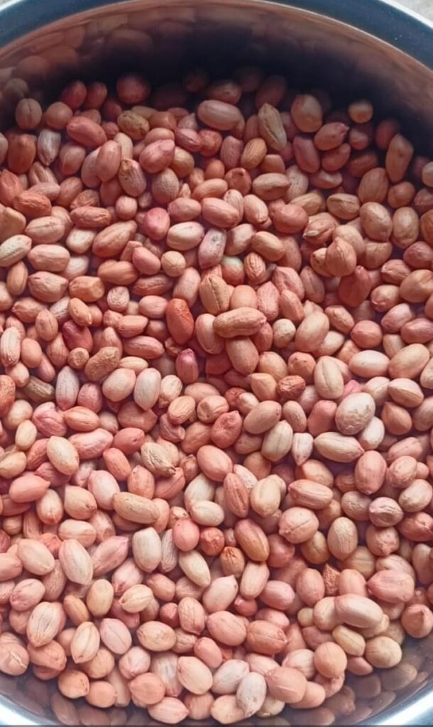 TJ Peanut Exporter from India - Somnath Agri Impex