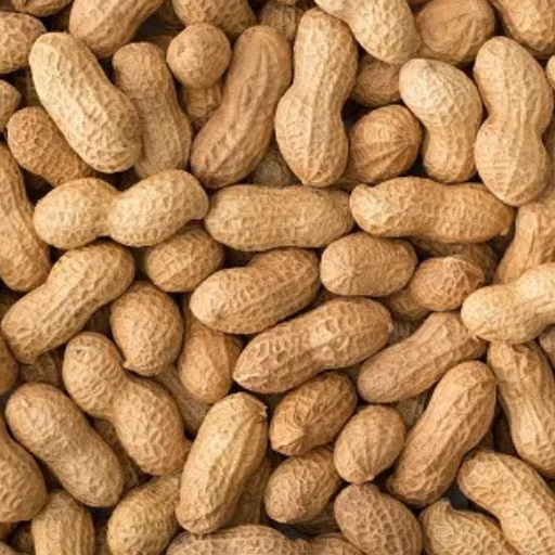 peanuts exporter from india