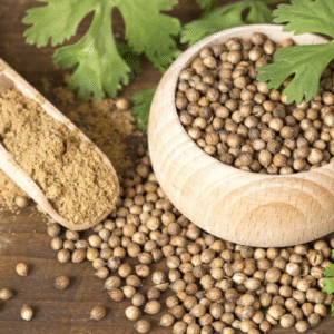 Coriander