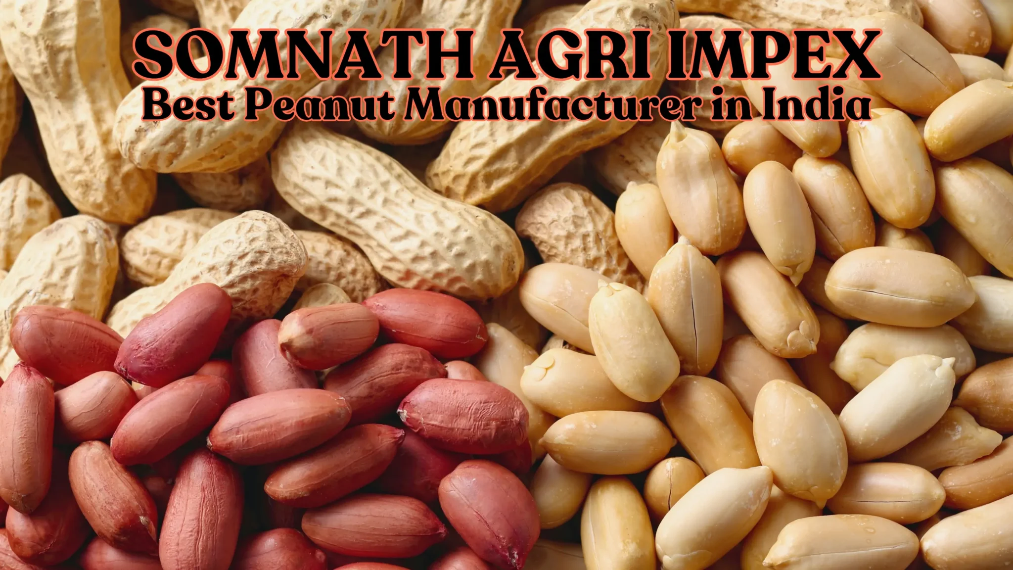 SOMNATH AGRI IMPEX best peanut manufacturer in india