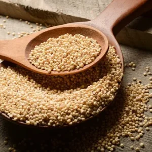 Sorghum