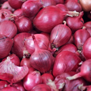 Onion