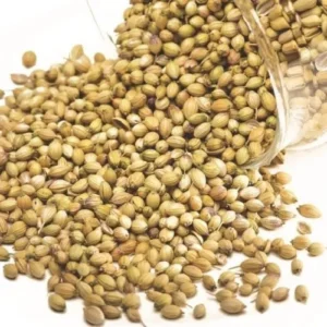 Coriander Seed
