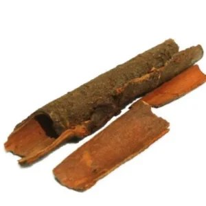 Cinnamom Stick