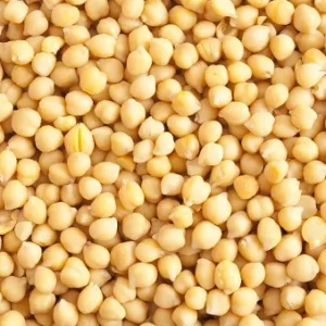 Chickpea