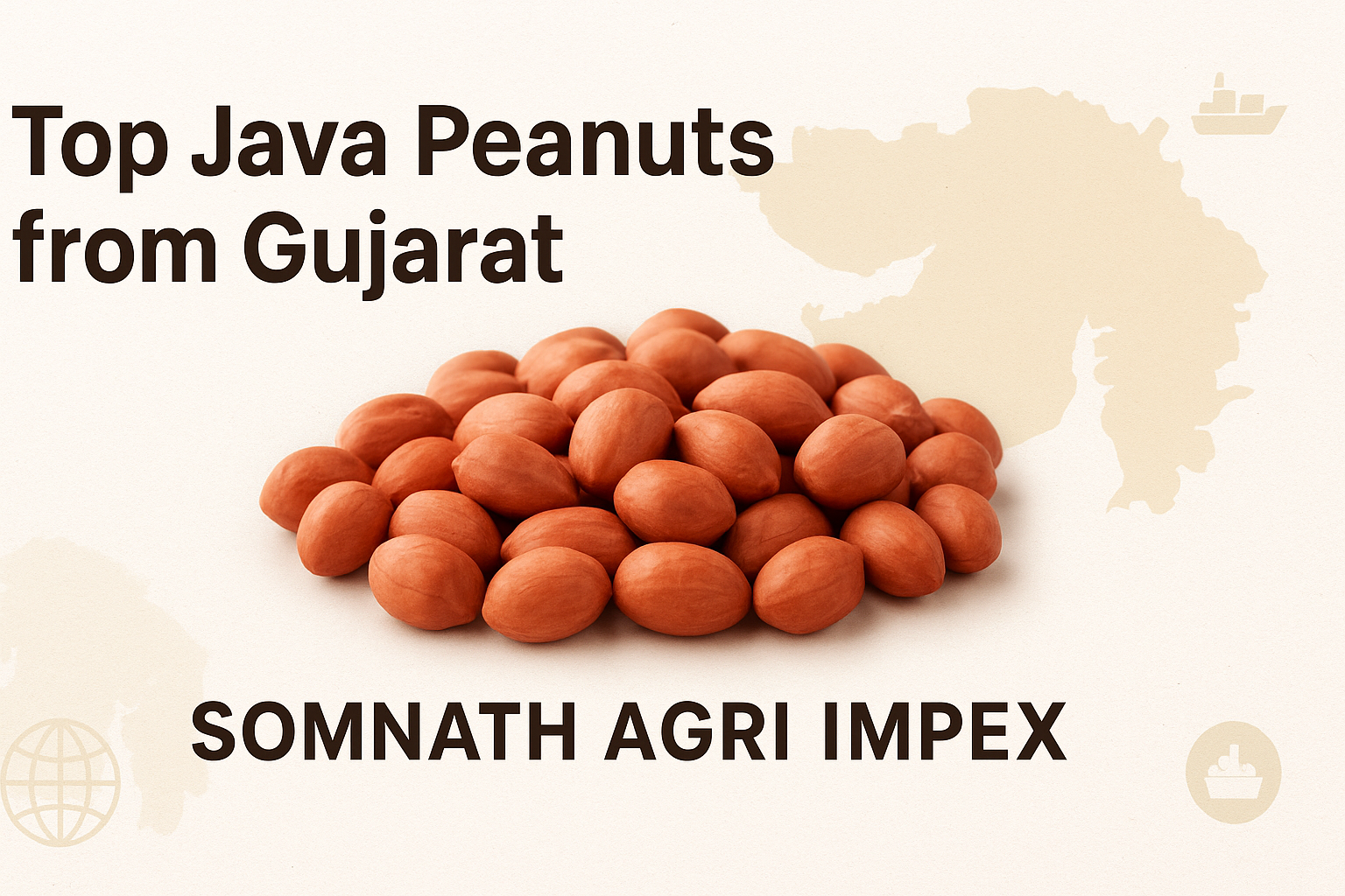 Guide to Top Java Peanuts from Gujarat: Quality, Uses & Export Insight - somnath agri impex