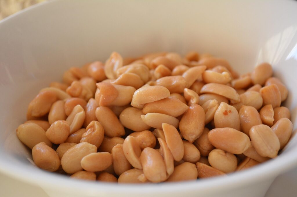 Difference Between Raw, Blanched, and Roasted Peanuts Uses in Food Industry