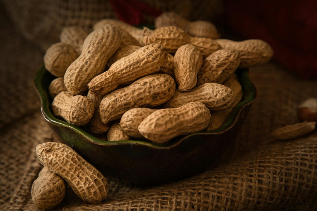 India’s No.1 Peanut Exporter Organic & High-Quality Peanuts