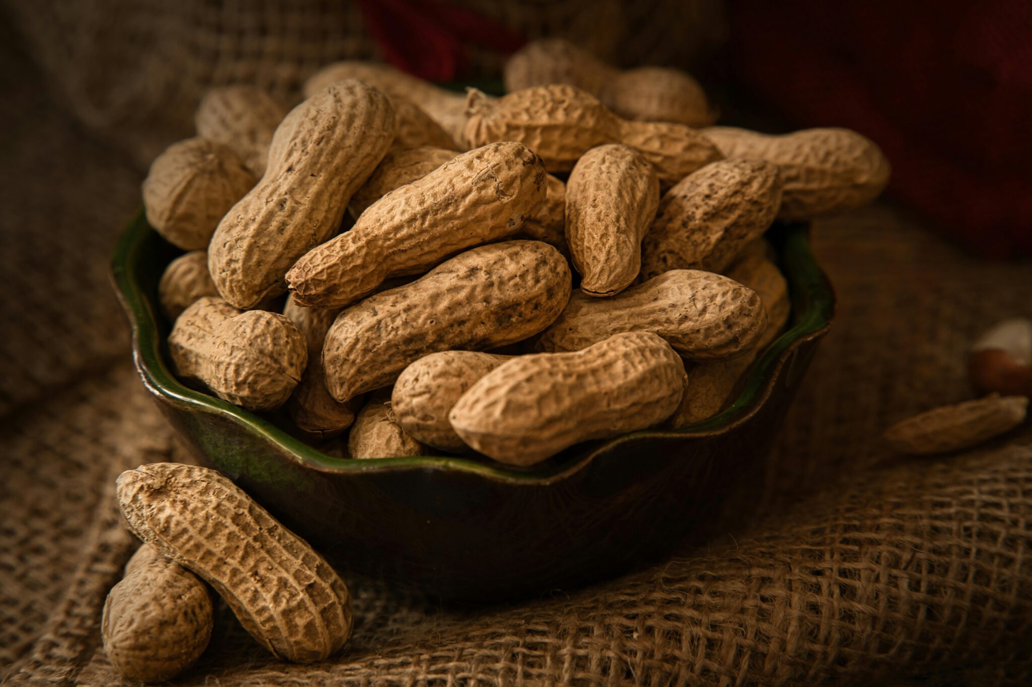 India’s No.1 Peanut Exporter Organic & High-Quality Peanuts