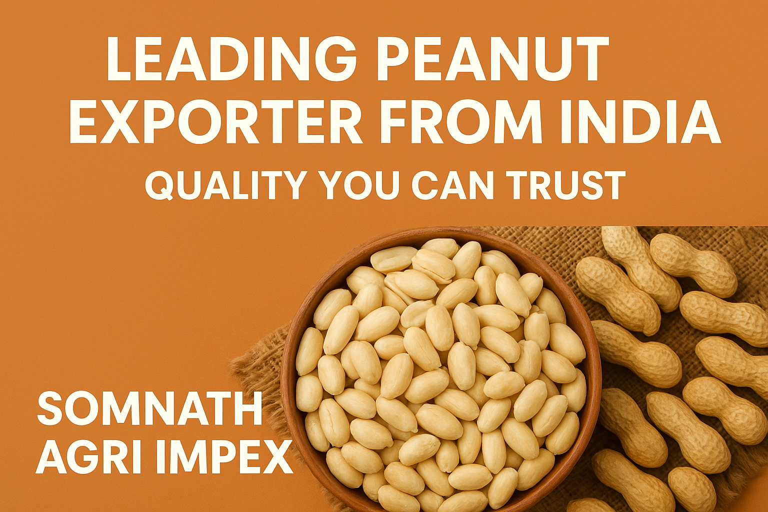 Leading Peanut Exporter from India | Quality You Can Trust